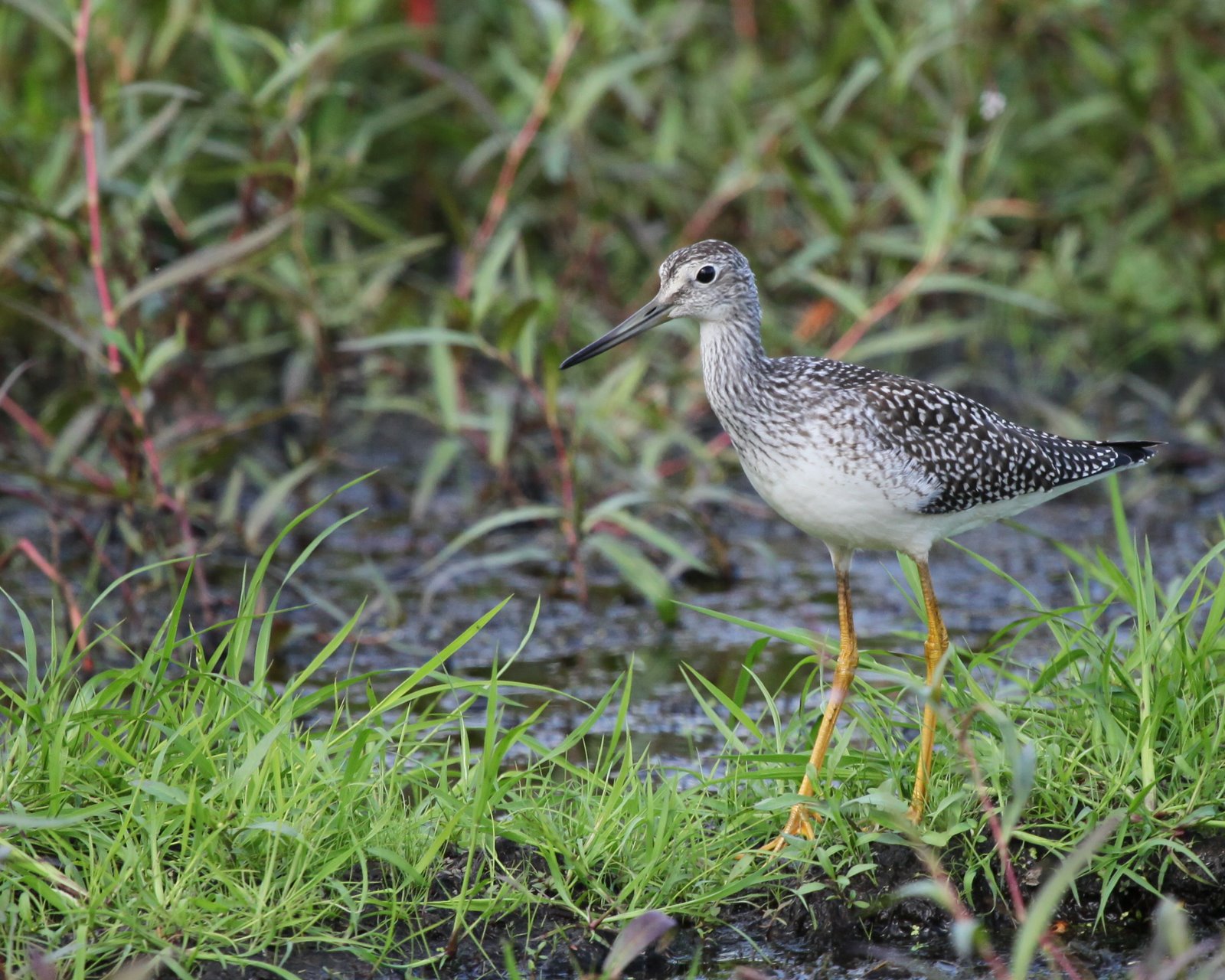 [2009-09-13+161858+7.JPG]