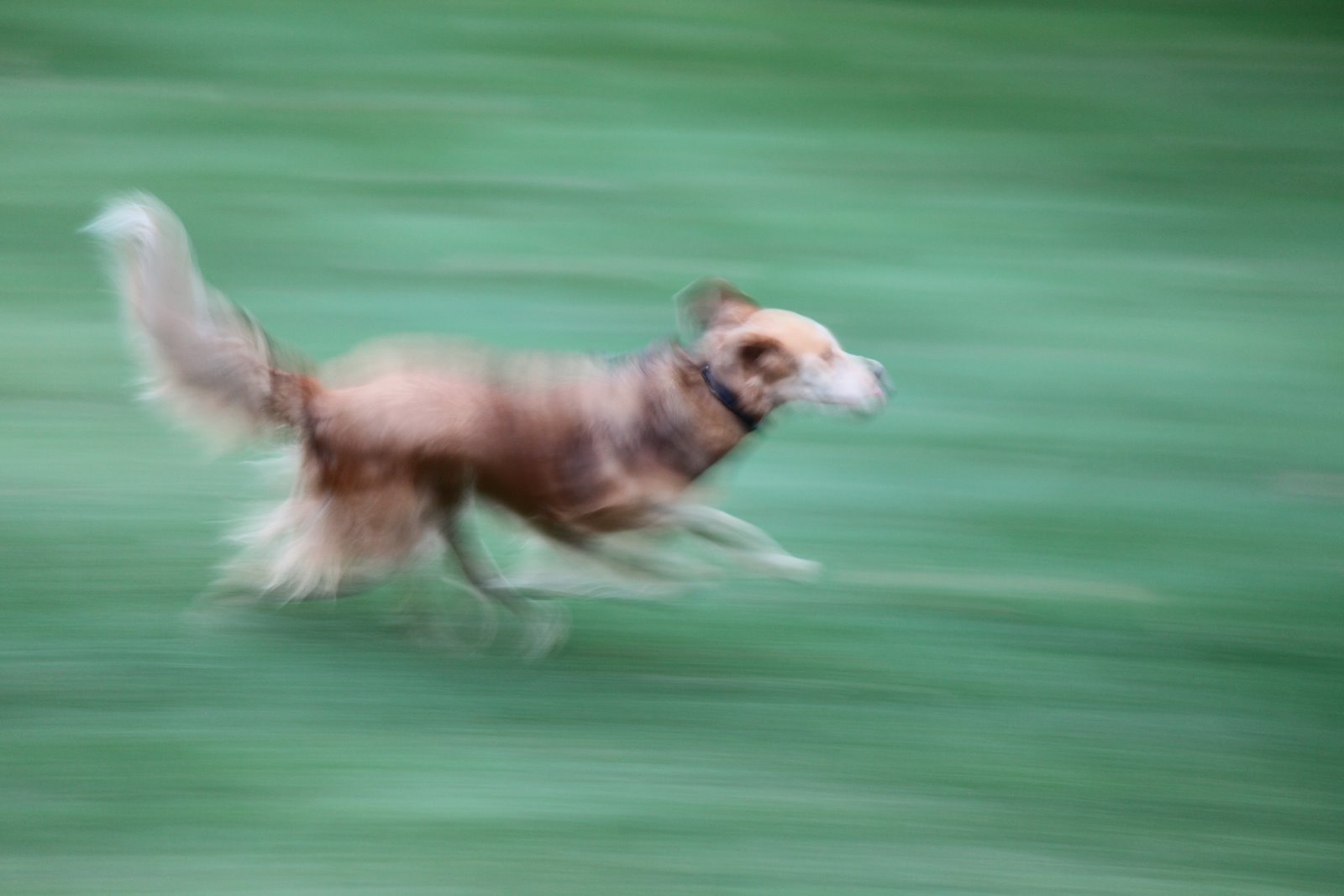 [2009-09-18+185226+9.JPG]