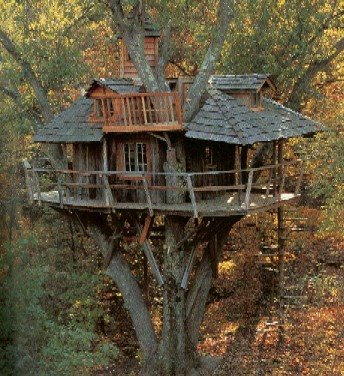 cool-treehouse.jpg