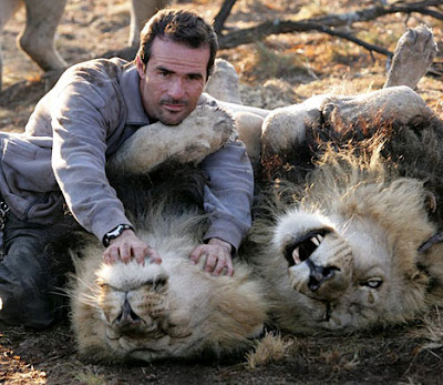 Kevin Richardson and his Lions Seen On www.coolpicturegallery.net