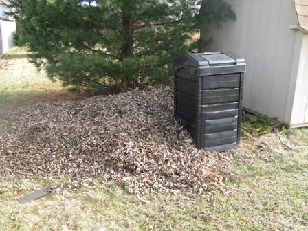 [compost0101web.JPG]