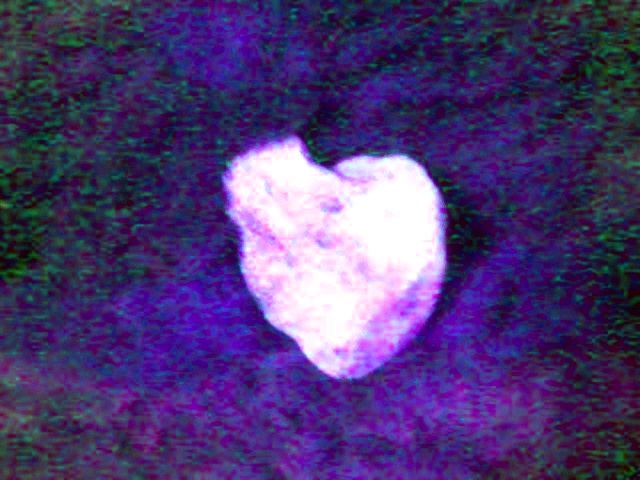 [Bright+White+Heart+Shaped+Rock.jpg]