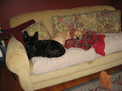 Chancey & Fast Eddie