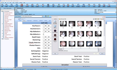 [imageInsert_small.gif]