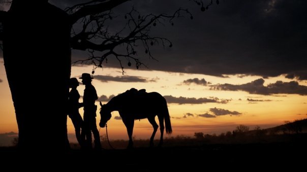 [AustraliaHorses4jpg.jpg]