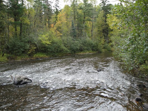 [tamarckriver2009.jpg]