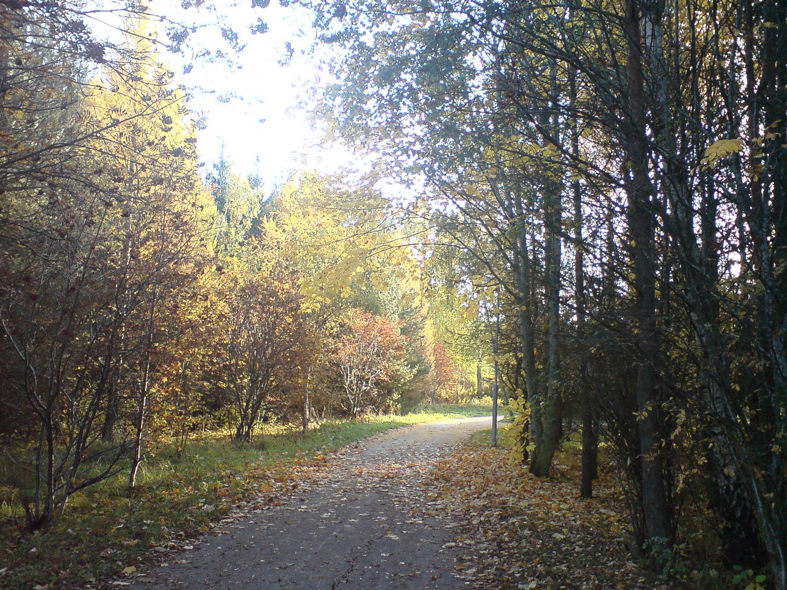 [DSC00433.JPG]