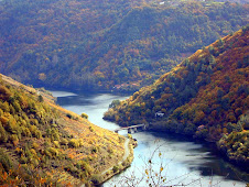 Pincelo - Ribeira Sacra en otoño