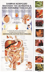 Kesehatan Usus