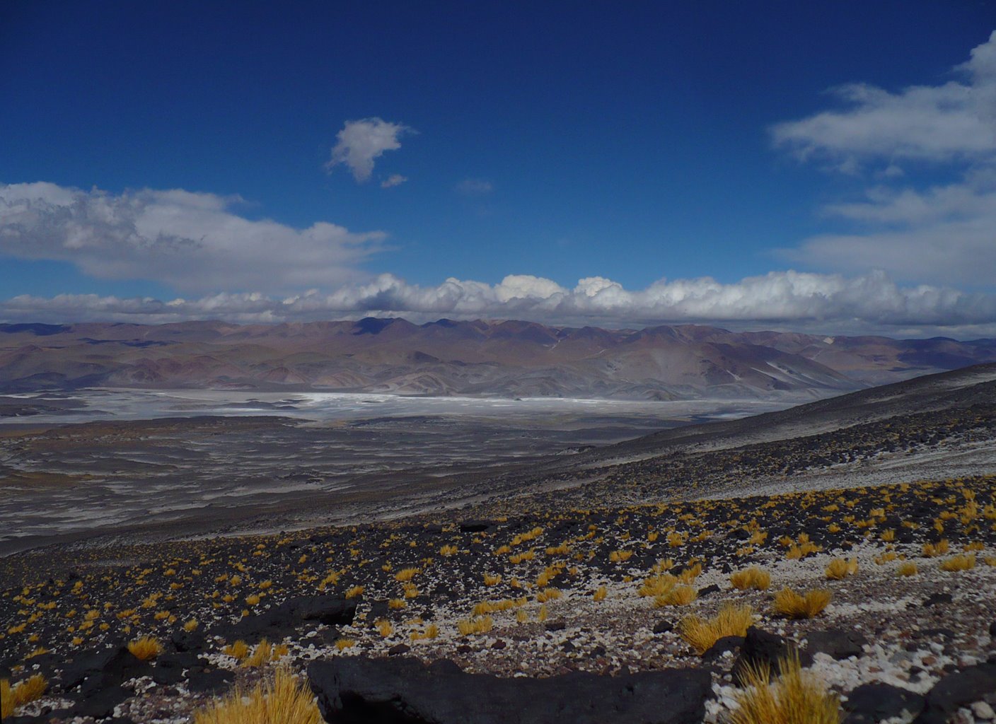 [P1040887-s.jpg]