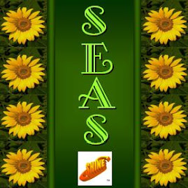 SEAS LOGO