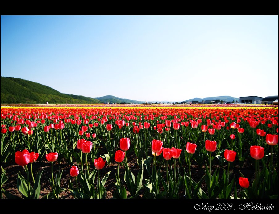 [IMG_7872e+(Web).jpg]