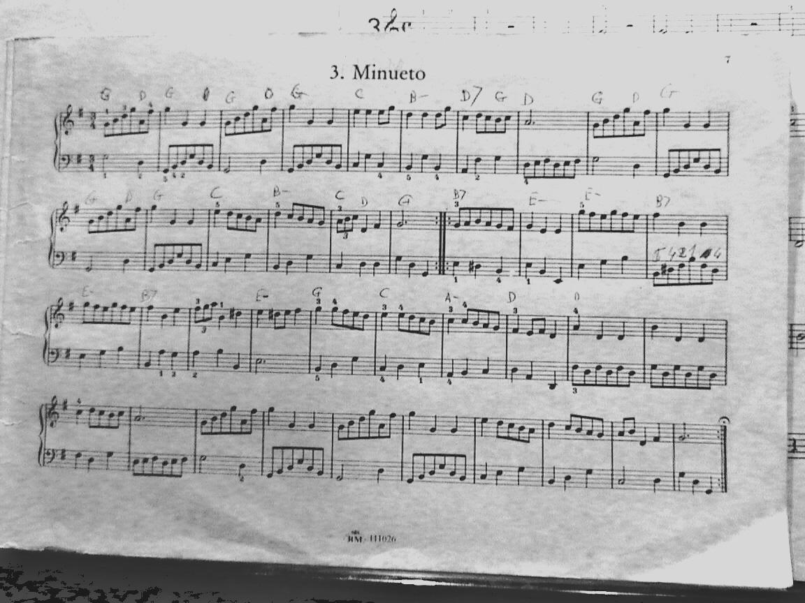 [MINUETO+EN+SOLBIEN.JPG]