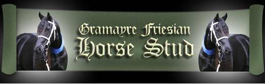 Gramayre Friesian Horse Stud