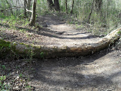 Boling Park Trails the fun has just begun