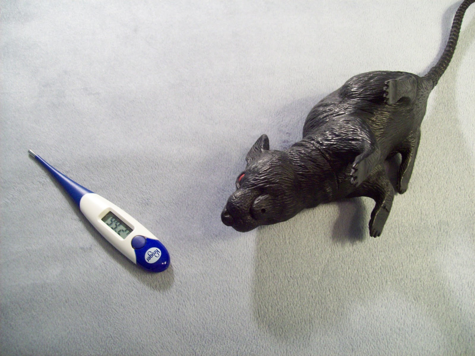 Rat Flu