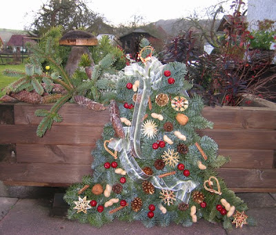 Neuer Gartentraum Erster Weihnachtsbaum