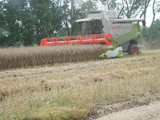 So Much Yarn So Little Time Oh I Ve Got A Brand New Combine Harvester And I Ll Give You The Key