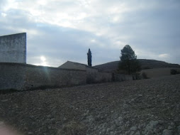 Tapia del monasterio de Palacios de Benaver