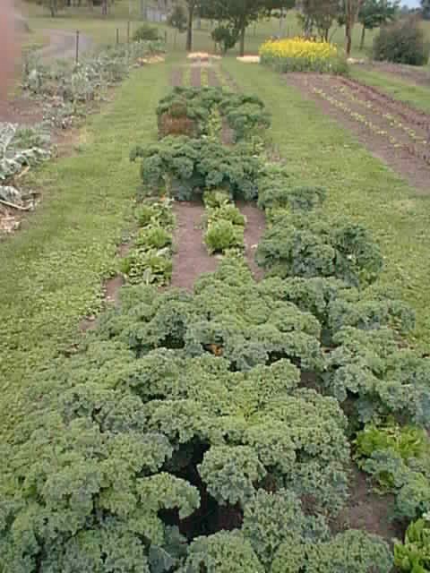 [Image15.JPG]