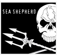 sea shepherd