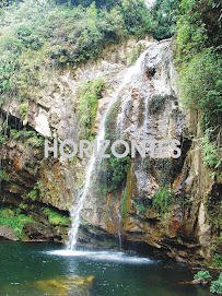 El Salto