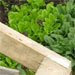 Homemade Coldframe