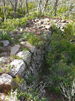 Upper icehouse, Icehouse Track, Mt Wellington, Tasmania - 10 May 2007