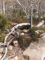 Upper icehouse sidetrack deliberately obscured with logs and sticks, Mt Wellington - 13th September 2008
