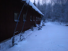 Januari 2010