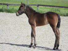 Juni 2010