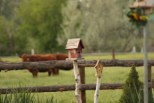 Country Living 1