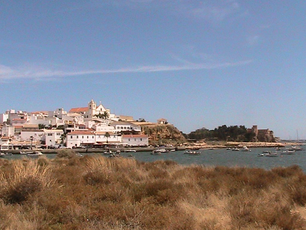 [IMG_2636.JPG]