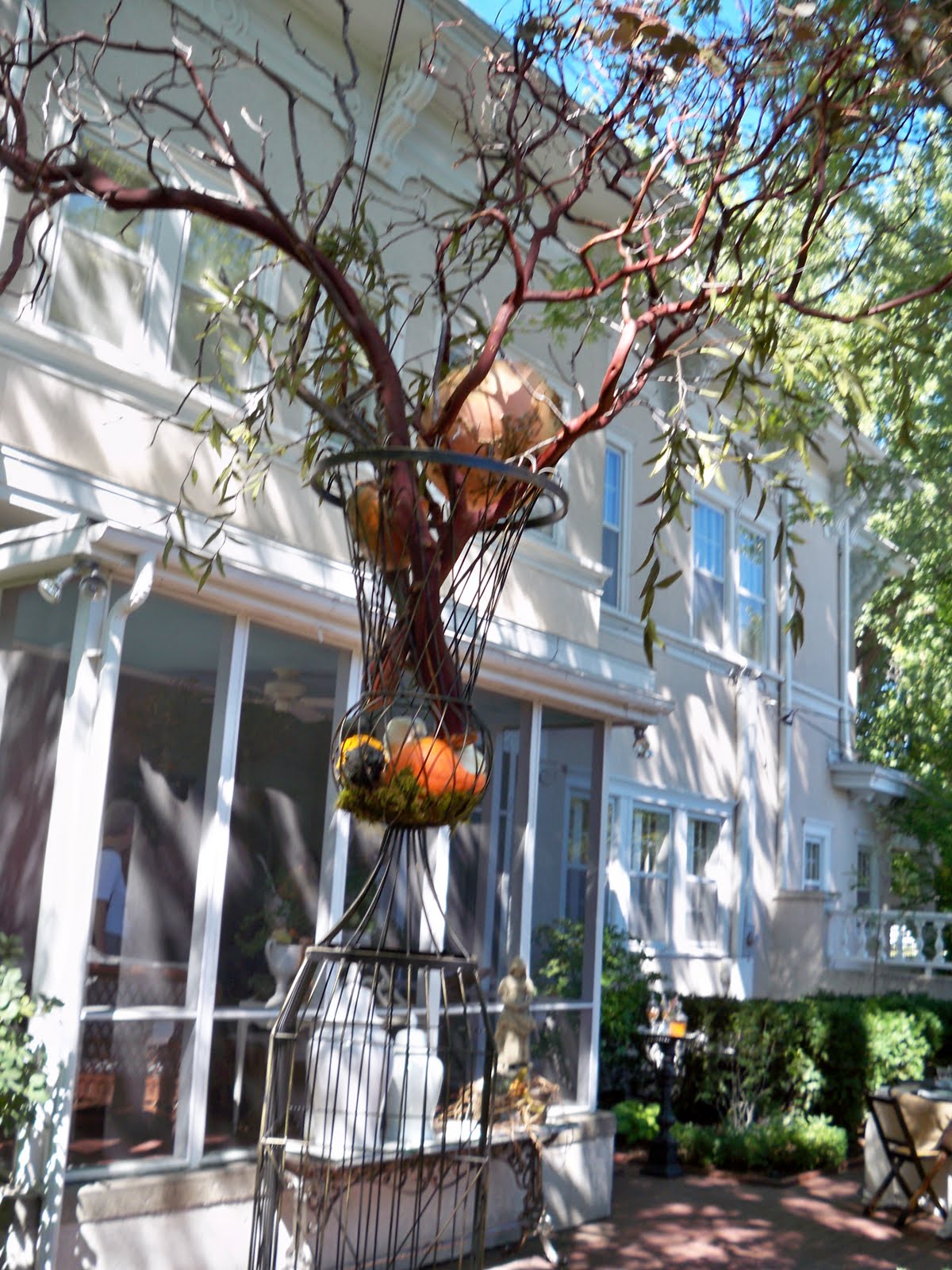 One Dish Dude Nell Hill's Fall Open House at Mary Carol Garrity's
