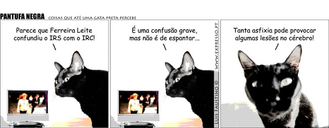 [pantufa_mfl_zorate.jpg]