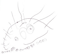 Retrato