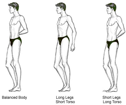 Which vertical body shape do you have? : r/tall
