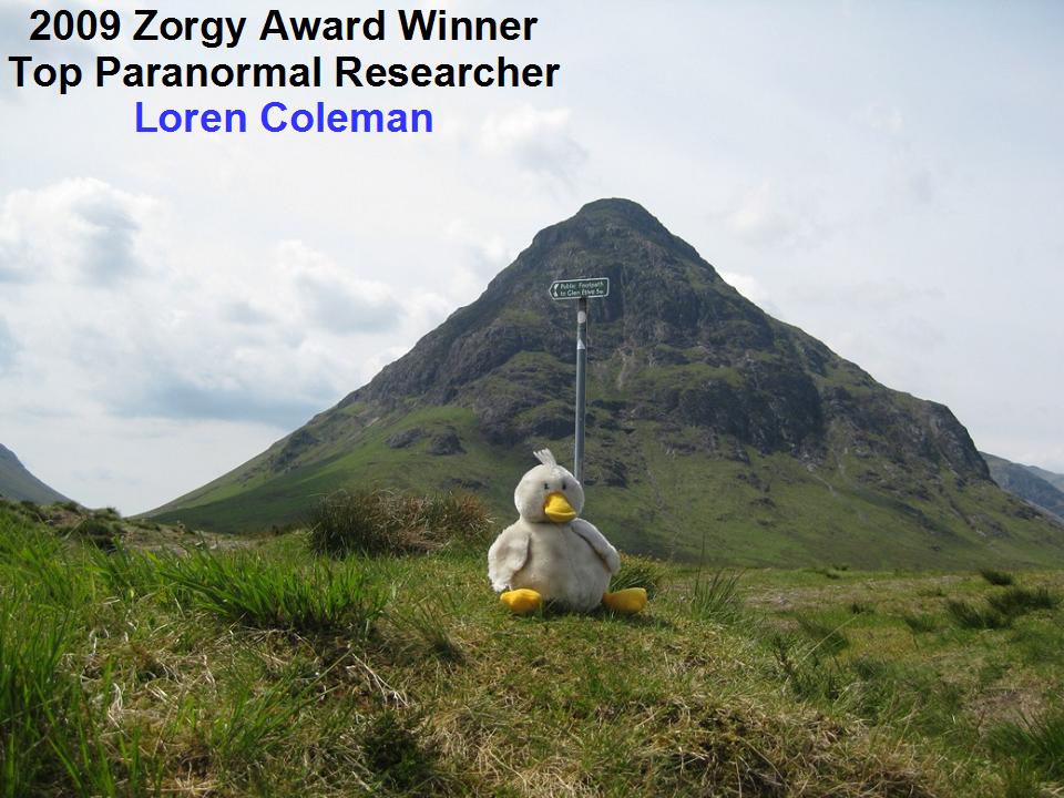 [Zorgy+researcher.jpg]