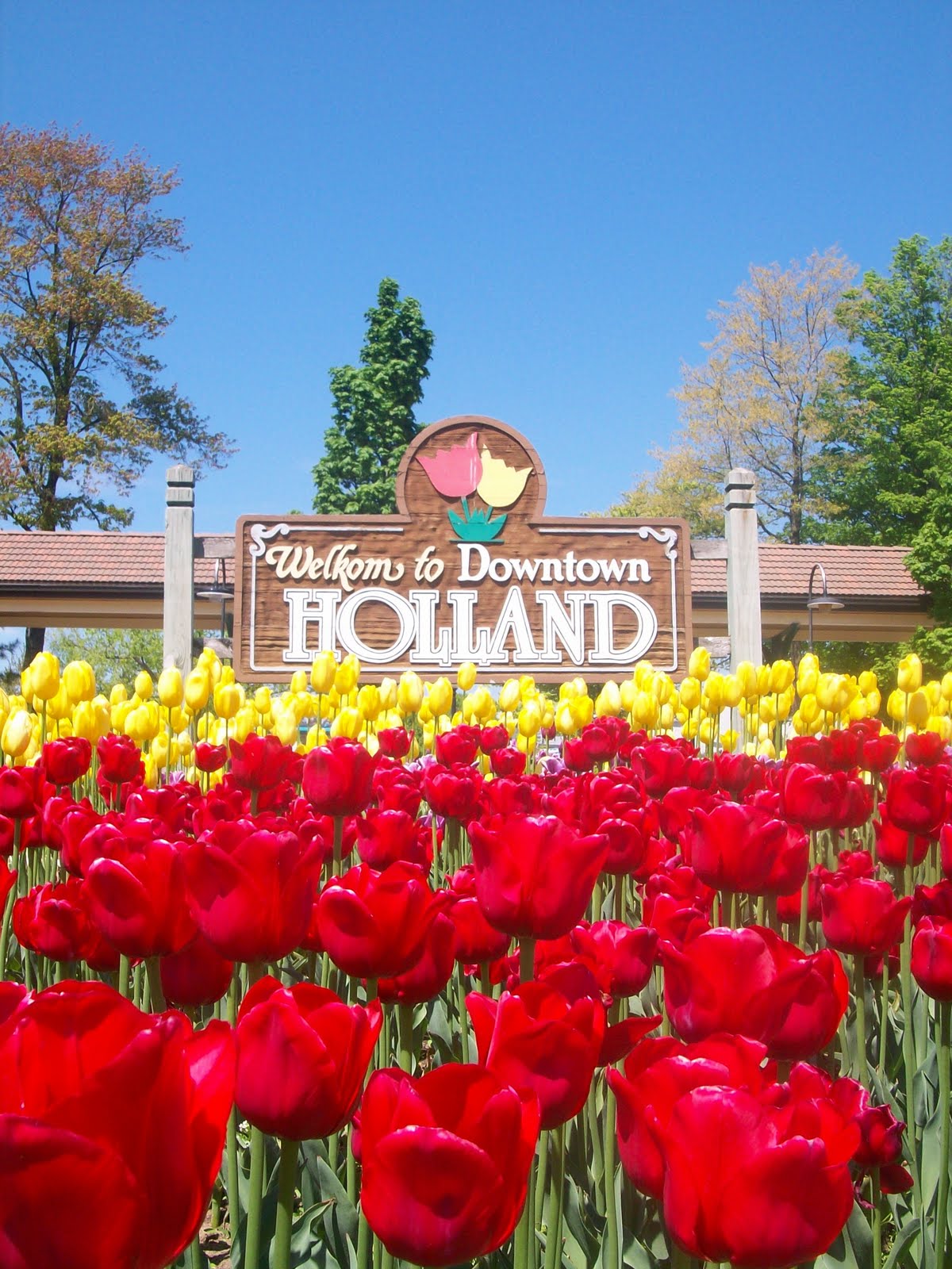 wanderlust Tulip Festival in Holland, MI
