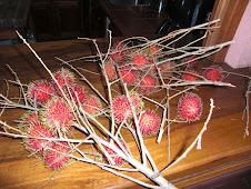 rambutans!