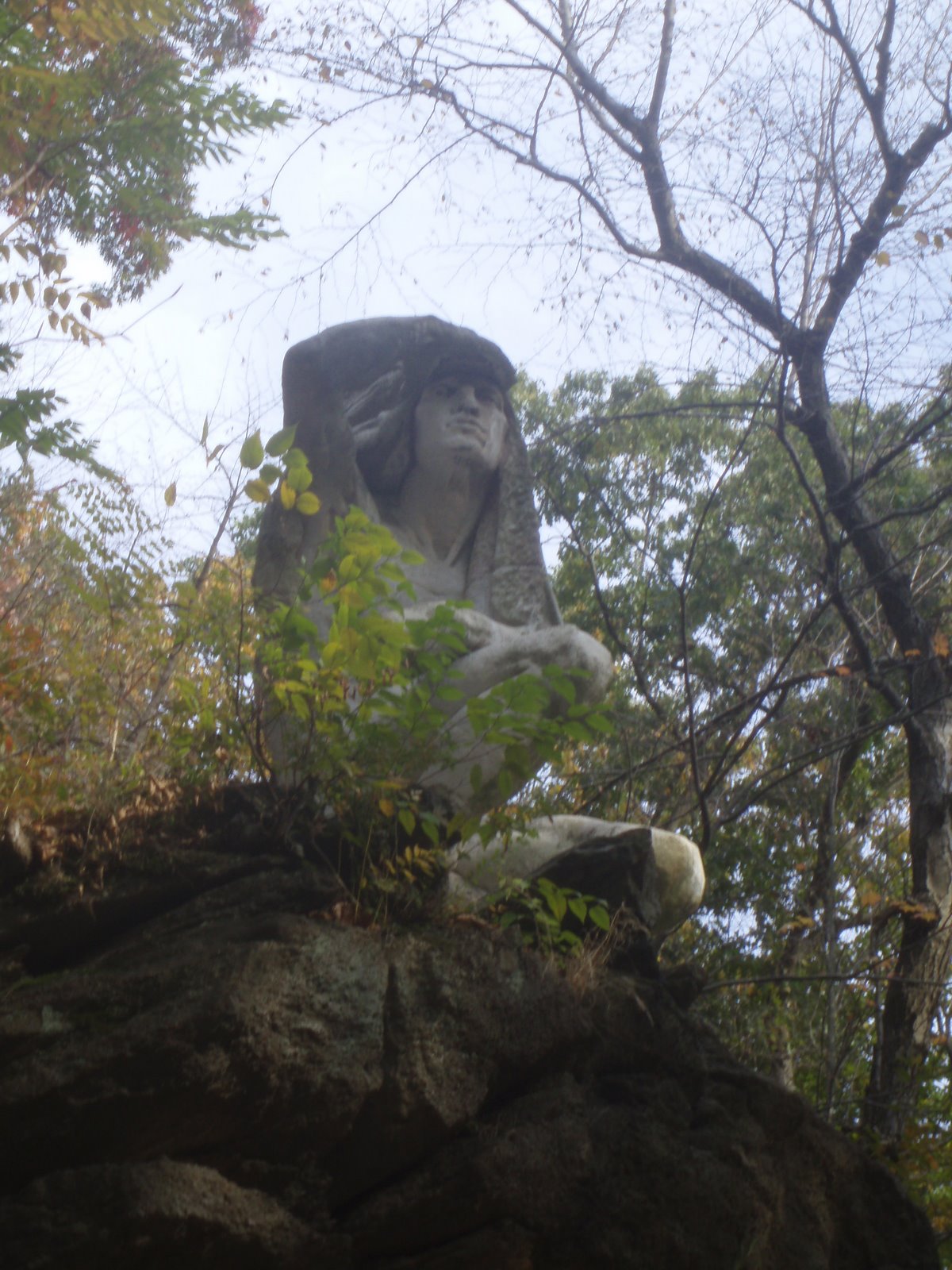 [Dawns+Photos+July+08-318.jpg]