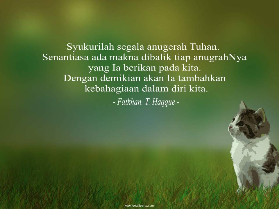 Hopeful Life Fannie Kucingku