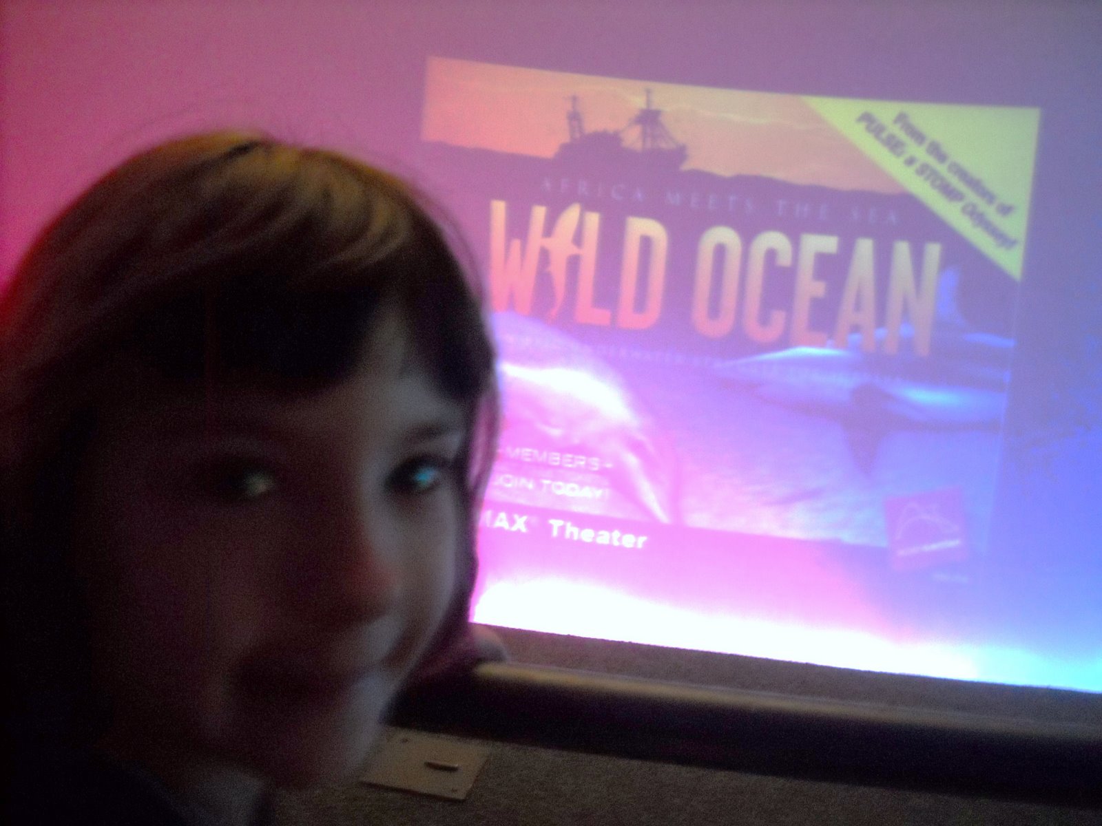 [Wild+Ocean.JPG]