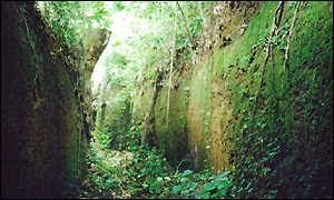 Just Genesis Was The Land Of Nod Enoch S Territory