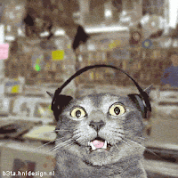¡¡Posteen GIFS y JPG!! ¡¡De lo que quieran!! Gator6bn6+gato+escuchando+musica+tecno+%28bajo+los+efectos+del+extasis%29