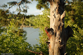 Macedonian Landscapes