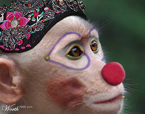 [monkey+clown.jpg]