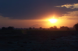 Amboseli