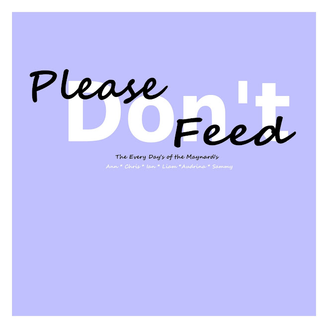 Please Don’t Feed