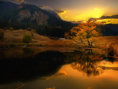 desktop cool walpaper: Cool Wallpapers